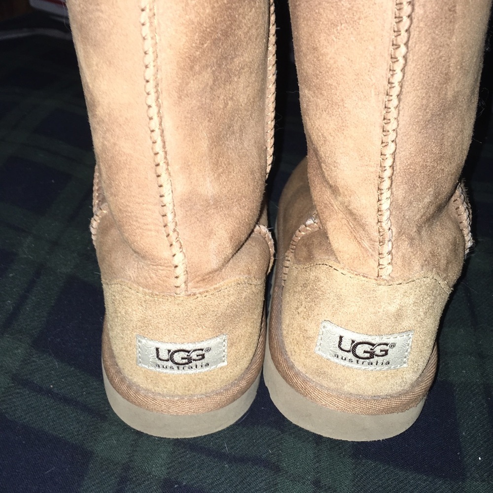 Chestnut brown mid calf boots